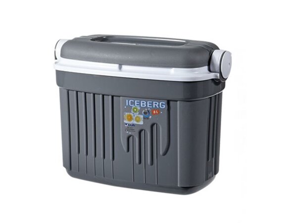 Kühlbox 8 Liter passiv grau