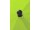 Schneider Sonnenschirm Locarno 200 cm rund apfelgrün