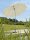 Schneider Sonnenschirm Classic Locarno 220 cm rund natur